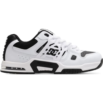 DC AT-2 Skate Schoenen wit