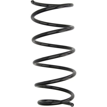 Chassisveer MAGNUM TECHNOLOGY SR150MT