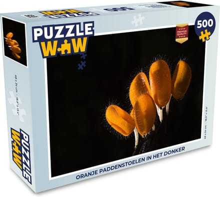 Puzzel Oranje paddenstoelen in het donker - Legpuzzel - Puzzel 500 stukjes