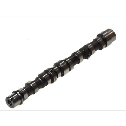 Nokkenas  AE CAM712