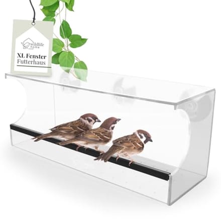 Transparant Vogelvoederhuis 30 cm voor Wilde Vogels - Raam Bevestiging