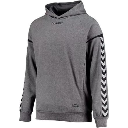 Poly hoodie Hummel hmlAUTHENTIC Charge
