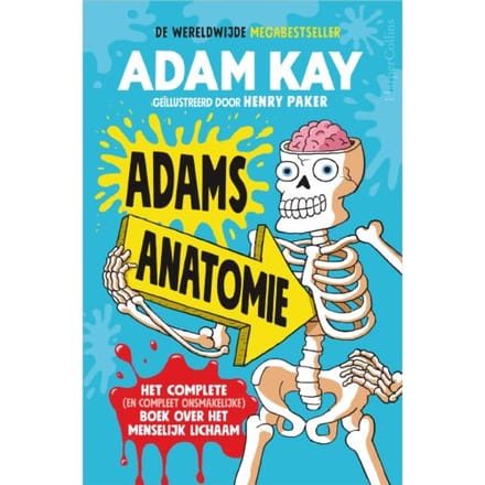 Adams Anatomie - Adam Kay