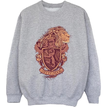 Harry Potter Jongens Gryffindor Schets Crest Sweatshirt (Sportgrijs)