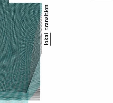Lokai - Transition (LP)