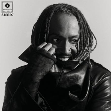 Thundercat - Distracted (LP)