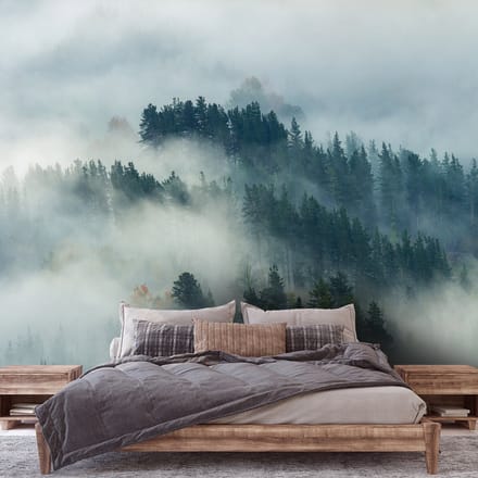 Fotobehang - Bomen - Mist - Bos - Landschap - Natuur - (312 x 219 cm)