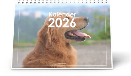 Huurdies - Bureaukalender 2026 - Golden Retriever