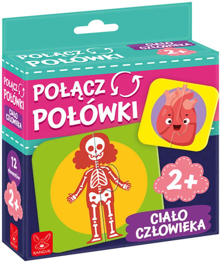 Verbind de helften van het menselijk lichaam - puzzel