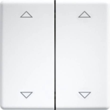 Eltako DW-FT55-rw+2P Dubbele tuimelschakelaar