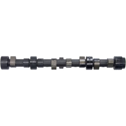 Nokkenas  AMC 641865