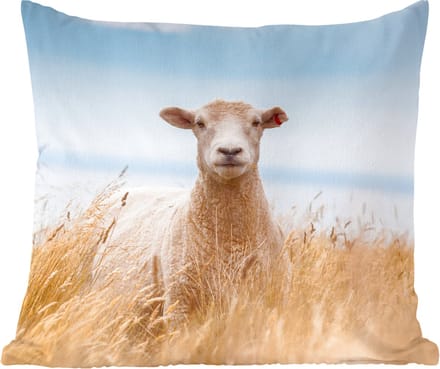 Sierkussens - Kussentjes Woonkamer - 60x60 cm - Schaap - Gras - Zee