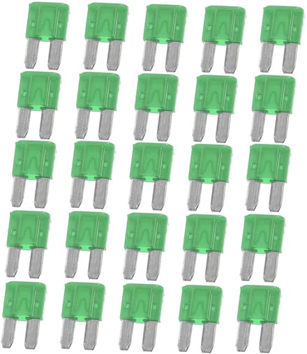 Dailygoods - 30A Mini Meszekeringen voor Auto Vrachtwagen Motor Groen (25 stuks)