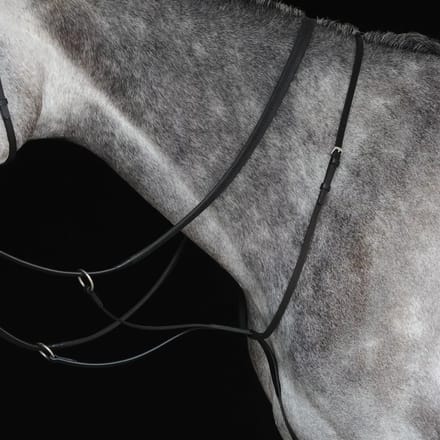 Paardenrennen martingaal Weatherbeeta Collegiate IV