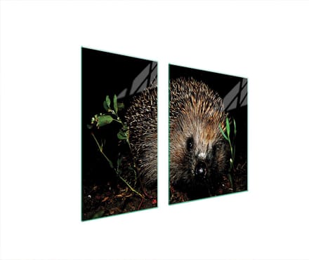 TMK ArtDeko - Serie - Schuurbescherming Glas - 90x52 cm - Veelzijdig