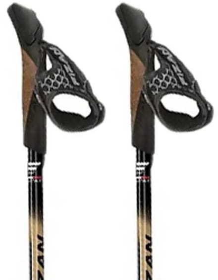 Fizan Speed Stokken Grijs 75-125 cm