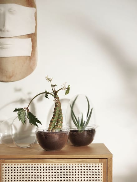 Design House Stockholm - Grow broeikas - XL - transparant