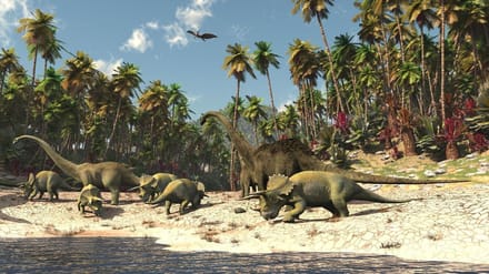 Fotobehang - Vlies Behang - Dinosaurussen - Dino's - 152 x 140 cm