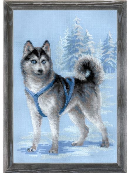 Borduurpakket Husky - RIOLIS