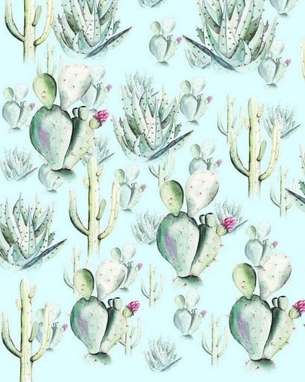 Fotobehang - Cactus Blue 200x250cm - Vliesbehang