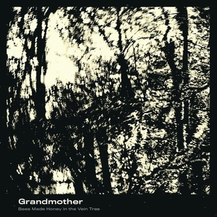 Bees Made Honey In The Vein Tree - Grandmother