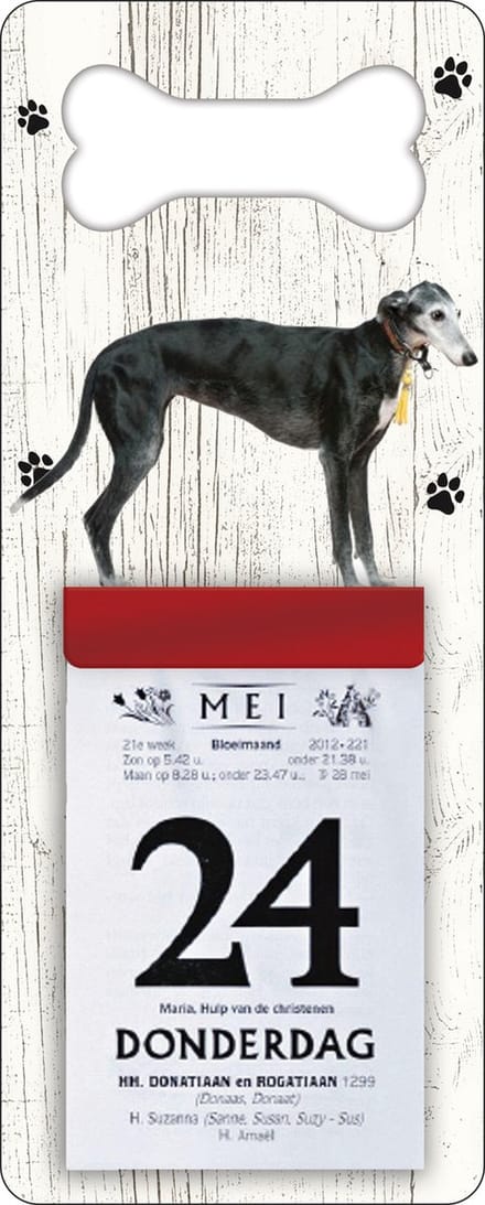 Scheurkalender 2027 Hond: windhond zwart