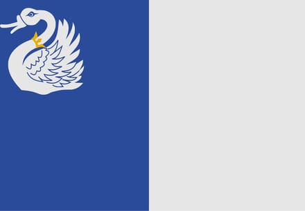 Vlag Tongeren 100x150cm
