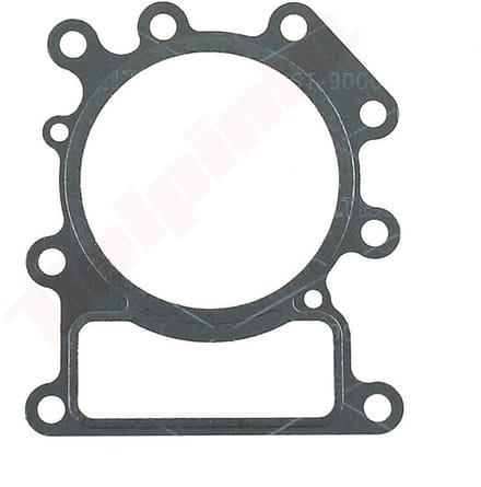Pakkingset (10 stuks) passend op B&S ( 794114 )