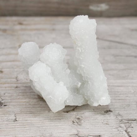 Vingerkwarts (minimaal 5 stuks per verpakking van 1 kg)