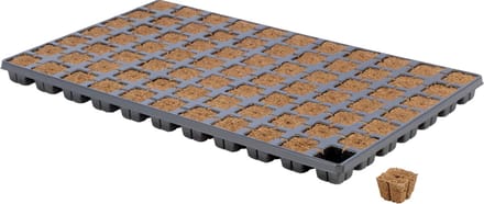 EAZY PLUG zaaitray en stektray met 77 pluggen 3,5 x 3,5 x 3 cm, Biobased