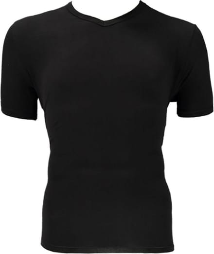 Apollo Heren T-shirt Bamboo Basic V-hals Zwart L 2 stuks