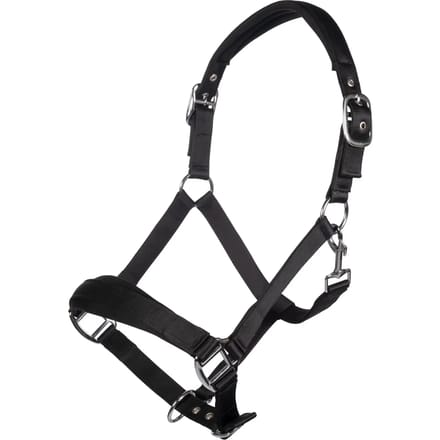 Halster voor paarden HKM Catherine