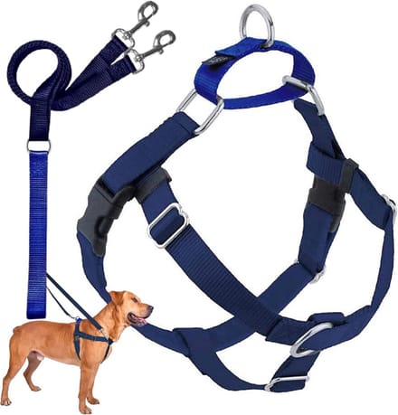 Freedom No-Pull Hondenharnas met Leash - Medium, 5/8 Inch, Navy
