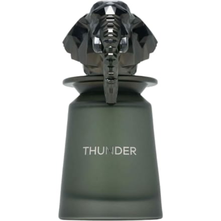 French Avenue Thunder Unisex Eau De Parfum - 100 ml