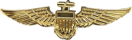 Gouden broche vliegenier