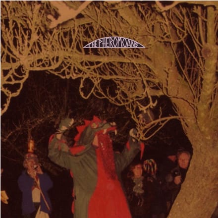 Pheromoans - Does This Guy Stack Up? (LP) (Limited Edition)