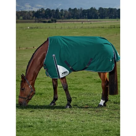 Outdoor paardendeken Weatherbeeta Comfitec Plus Dynamic 220g