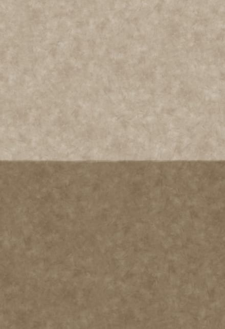 Boråstapeter Vliesbehang 5091 - Chalk - Hotel Chique Taupe - 45cm x 2.65m