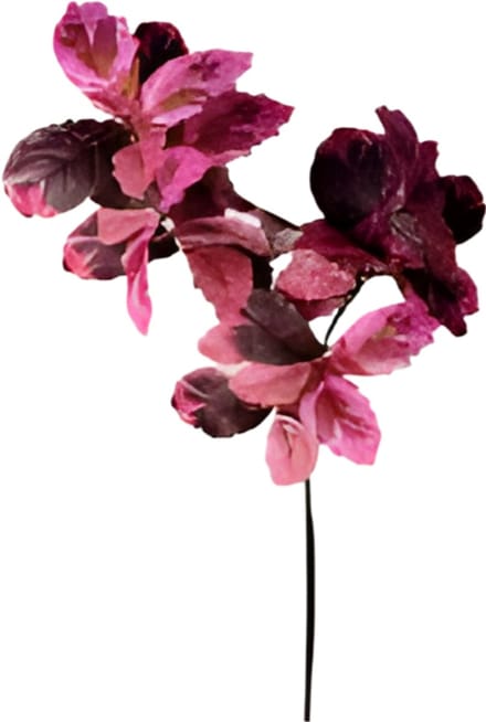 Berkenblad roze rood 120 cm Buitengewoon de Boet