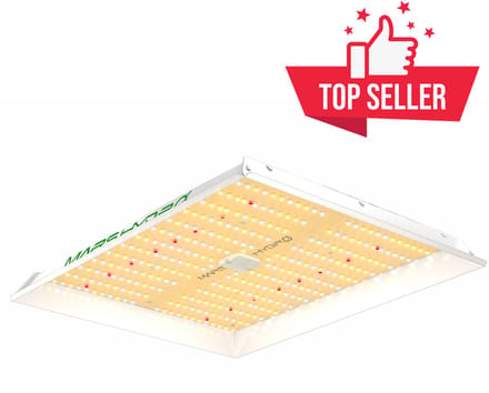 Mars Hydro TS 1000 - LED Groeilamp - 150 watt - Kweeklamp voor planten - Groei en Bloei