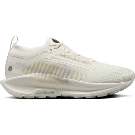 Damesschoenen Nike Pegasus 5 Gore-tex