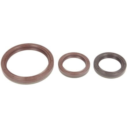 Radiale afdichtingsringenset, motor CORTECO 289067