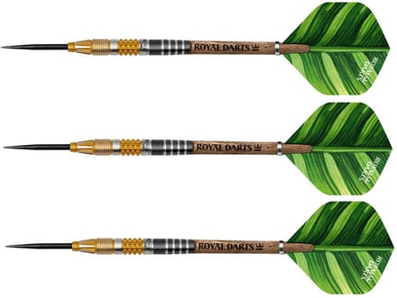 Royal Darts steeltip dartpijlen Green Line 21 gram NT95 precisie.