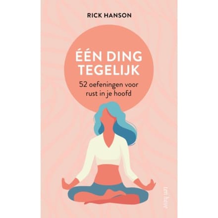 Eén Ding Tegelijk - Rick Hanson