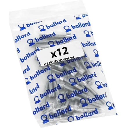 Set van 12 schroeven / inbus P2R