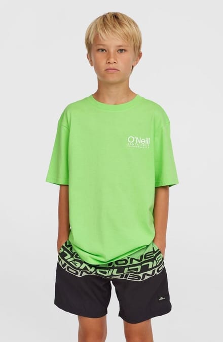 O'Neill Cali Stripe 14" Kids Boardshorts groen