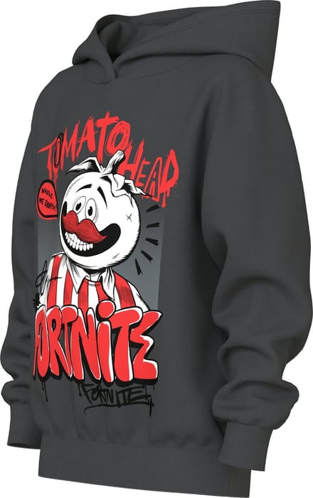 NAME IT - TKMPARB FORTNITE NREG SWEAT WH NOOS BFU - Jongens - Sweaters