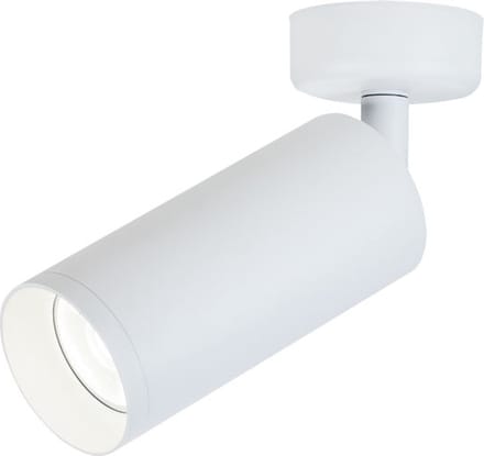 Lybardo - Plafondlamp - Opbouwspot - Draaibaar & Kantelbaar - Voor GU10 Spot