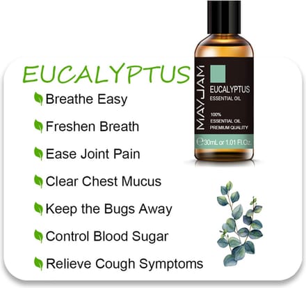 Etherische Olie Eucalyptus Speciaal Voor Woodsart Unieke Kamergeurverspreider