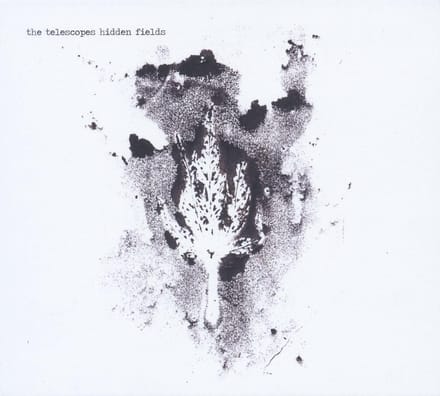 The Telescopes - Hidden Fields (CD)